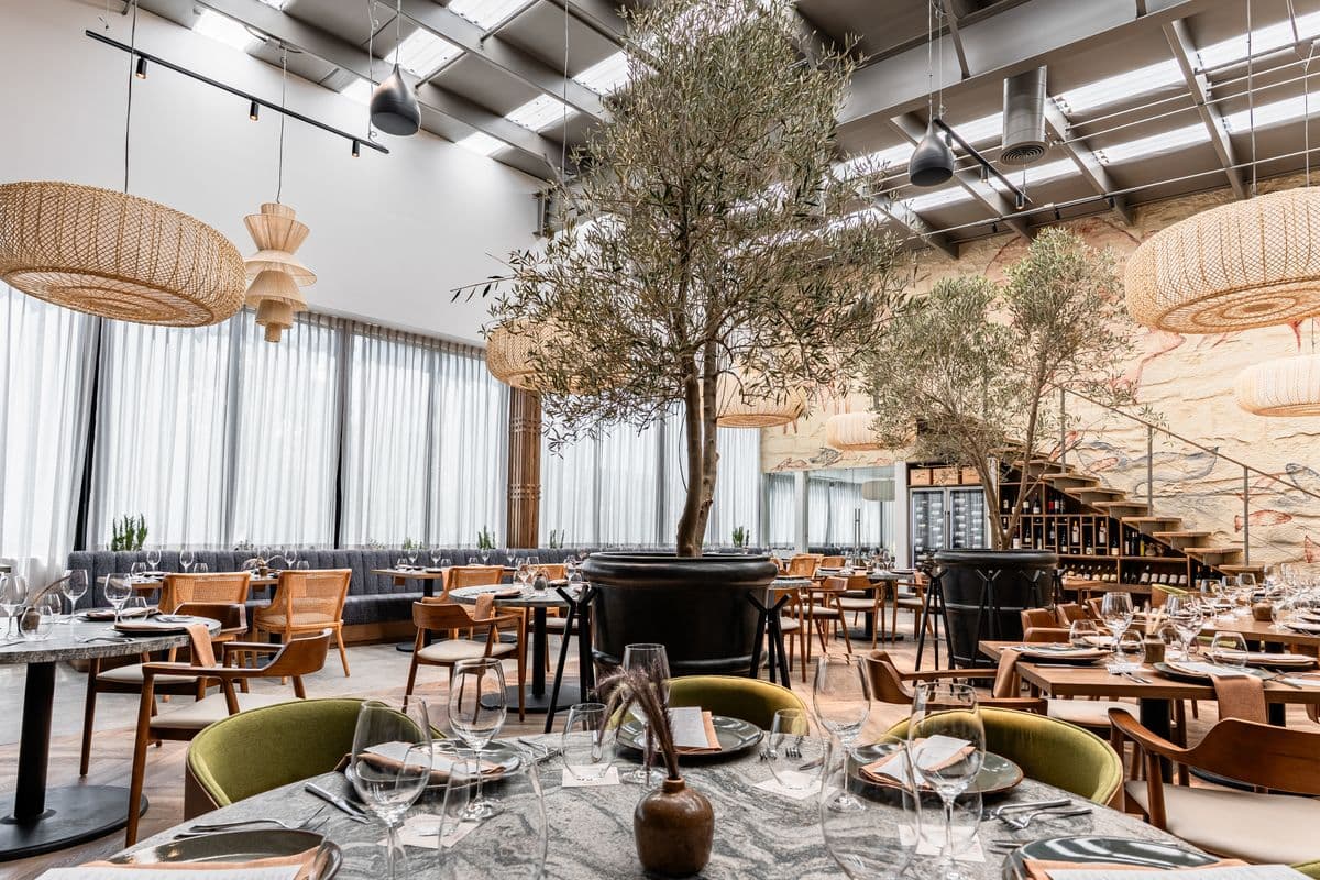 El comedor de OBA · Orígenes de Baja, con olivos y cava de vinos