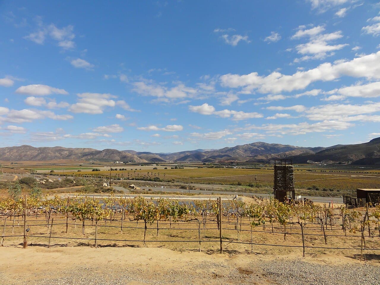 Viñedos en el Valle de Guadalupe
